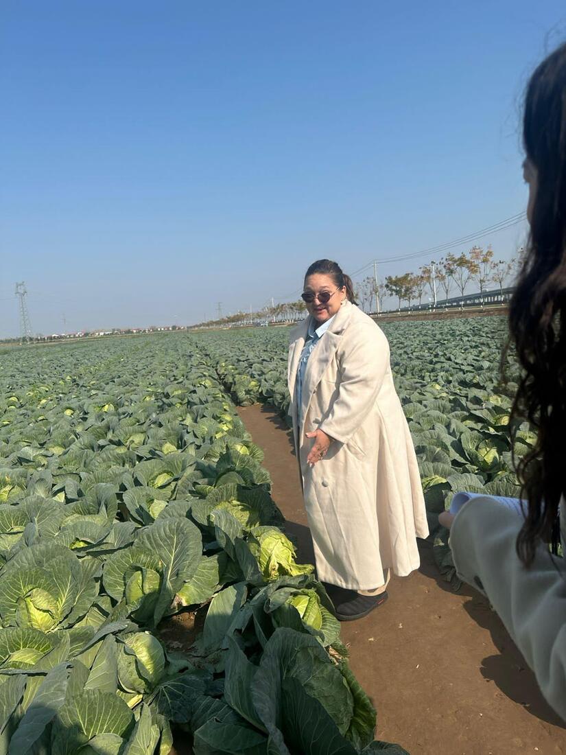 china9