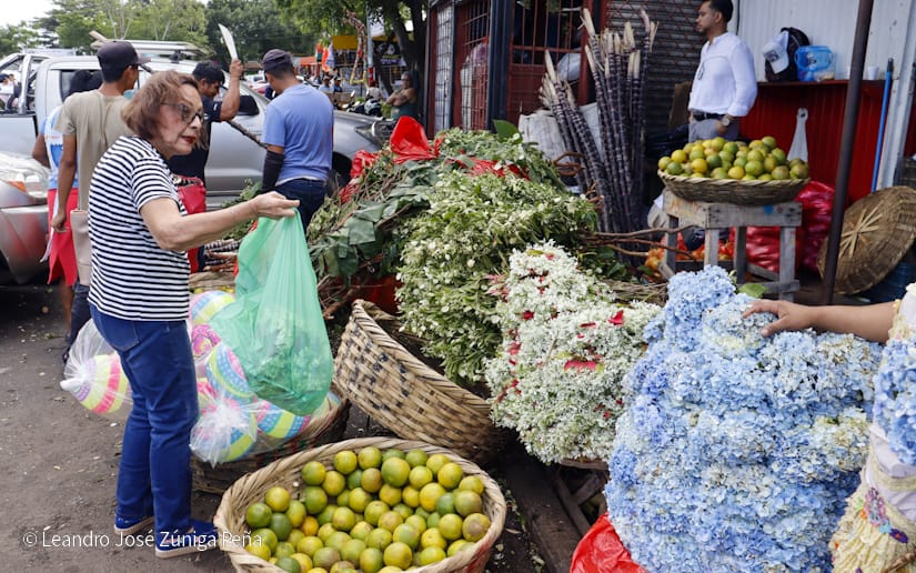 MERCADO1