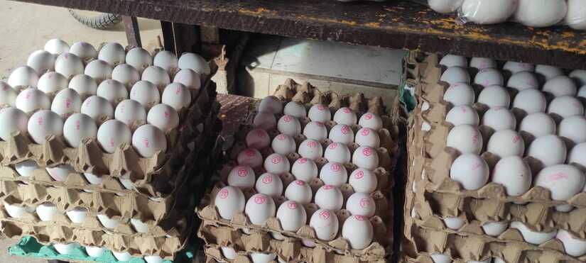 MERCADOS2