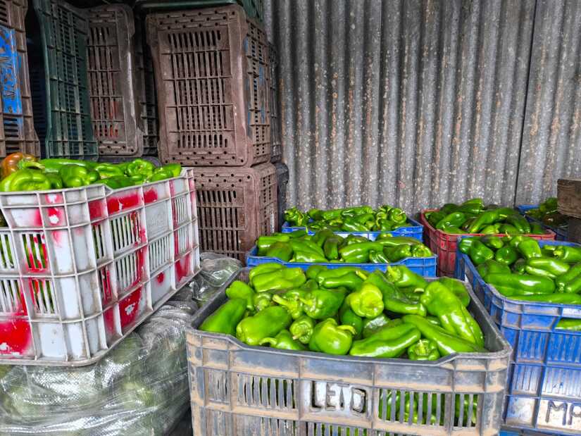 MERCADOS6