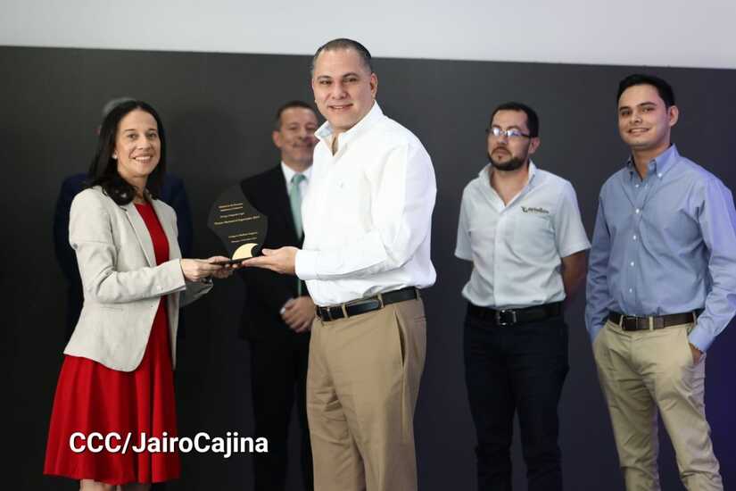 EXPORTADORES29
