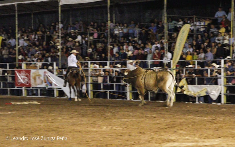 FERIA19
