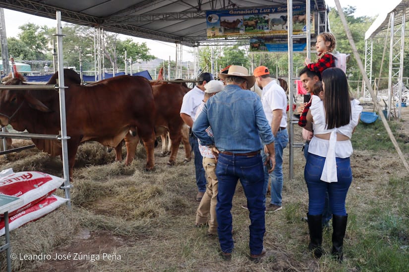 FERIA23
