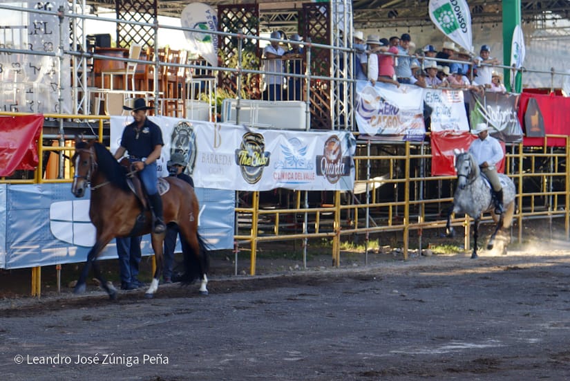 FERIA25