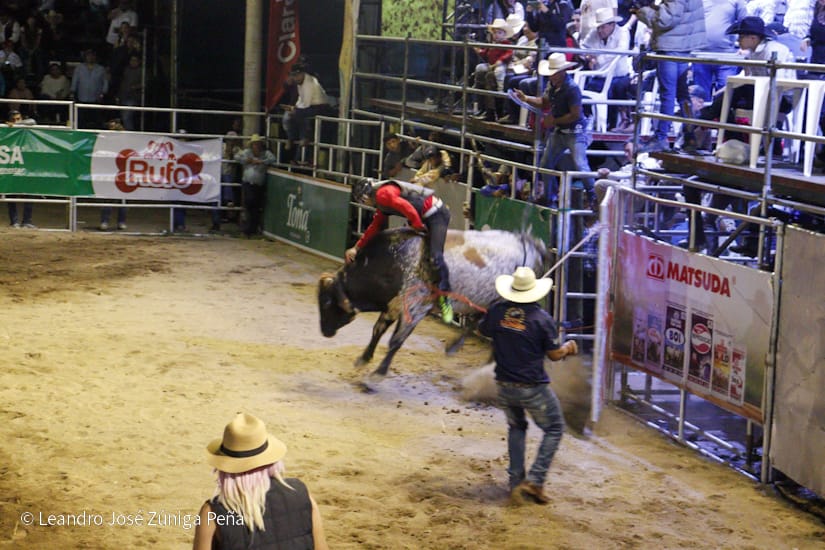 FERIA27
