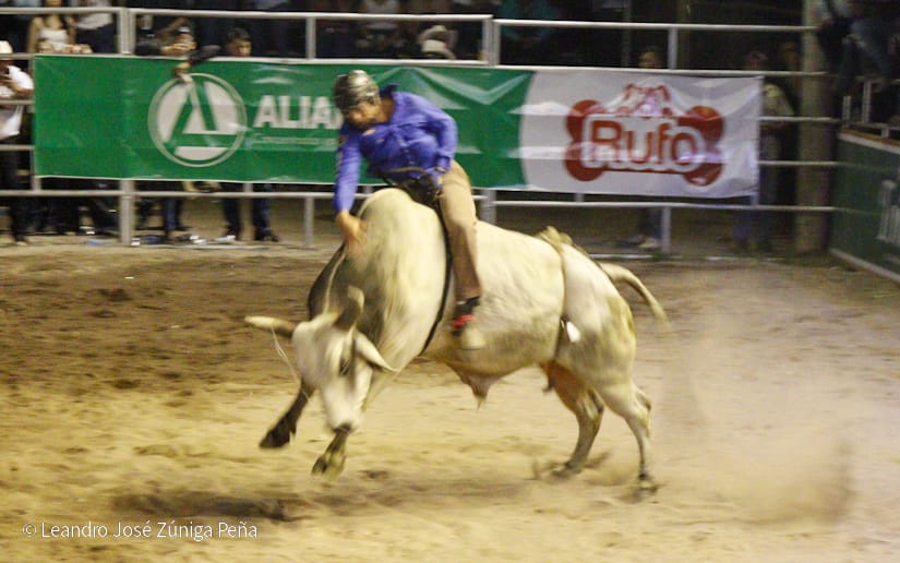 FERIA31