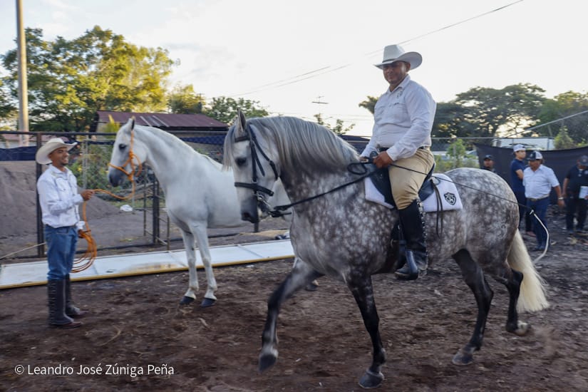 FERIA40