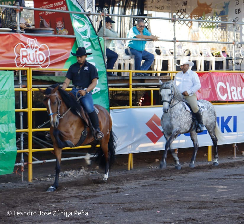 FERIA46