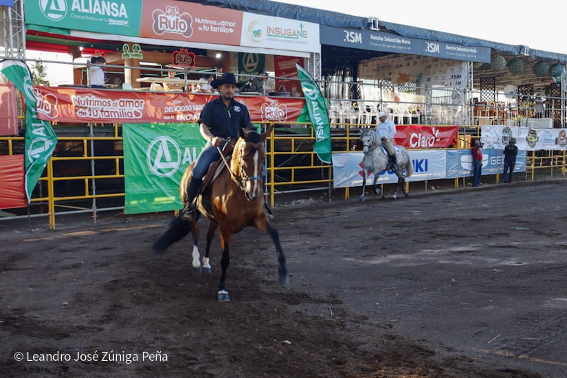 FERIA49