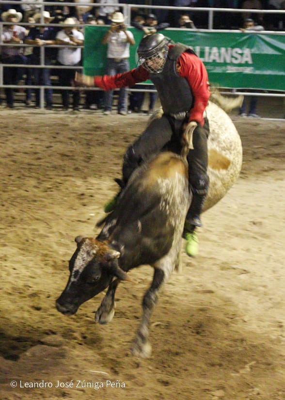 FERIA6