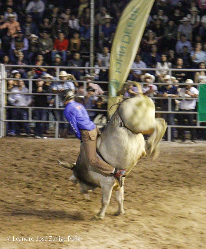 FERIA8