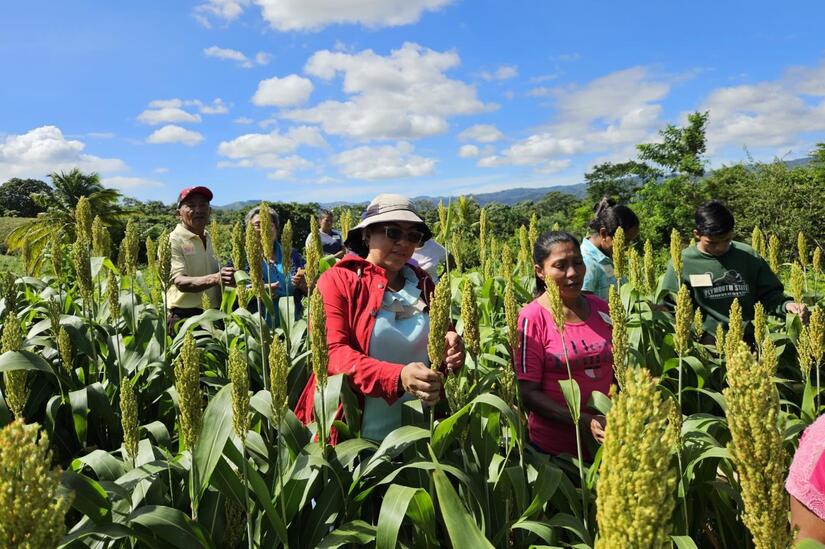 SORGO9