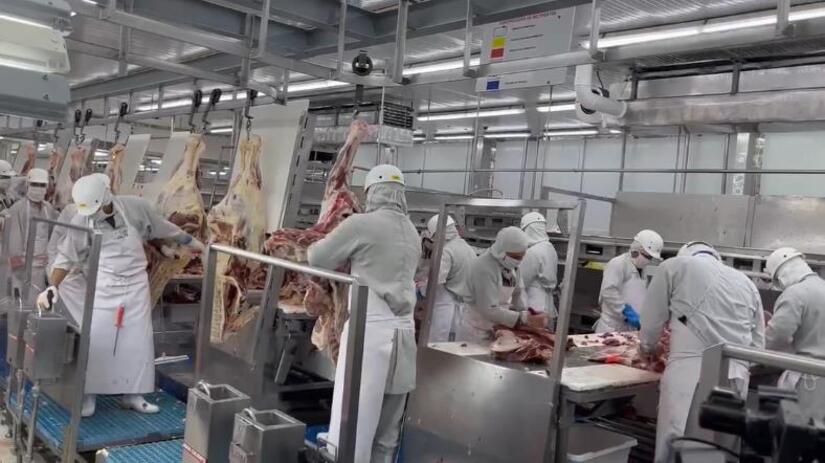 CARNE4