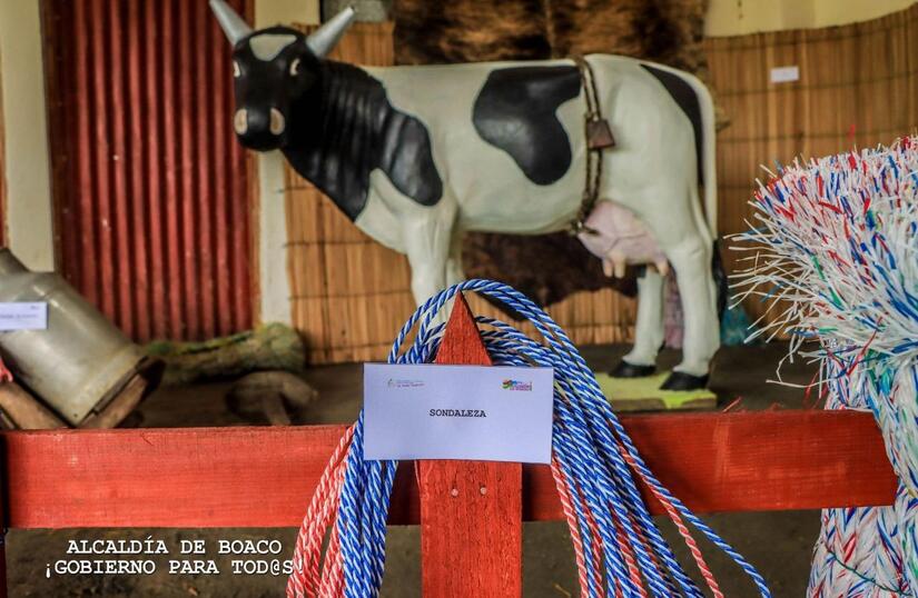 MUSEO-(4)