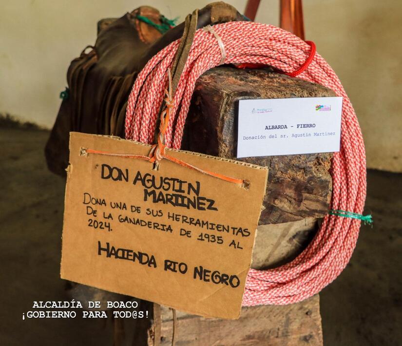 MUSEO-(5)