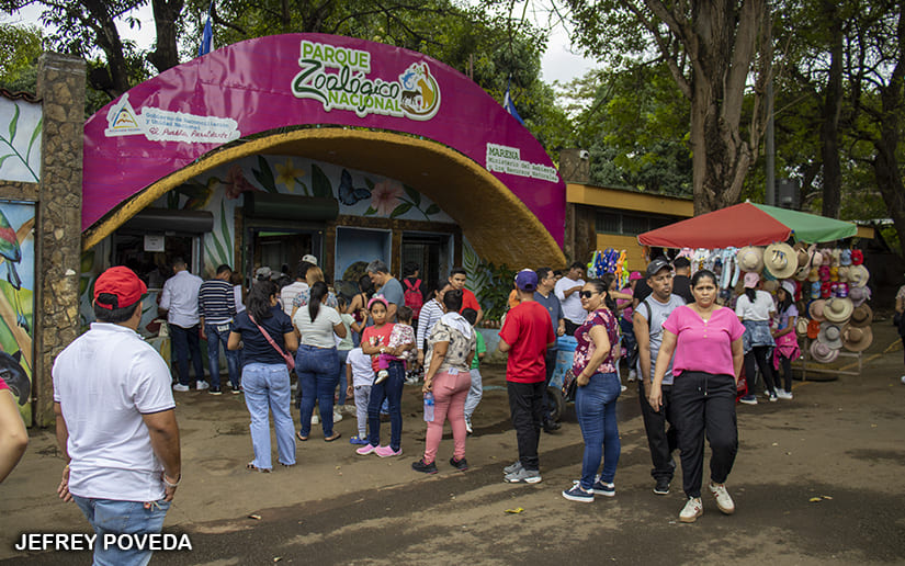 ZOOLOGICO_14