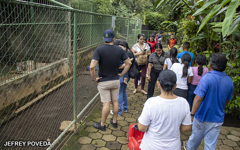 ZOOLOGICO_8