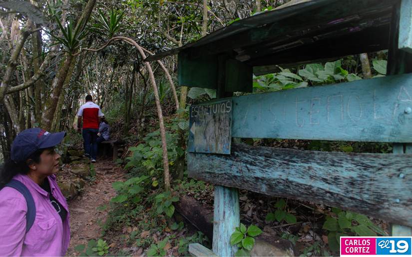 estel&iacute;
