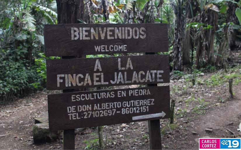 estel&iacute;