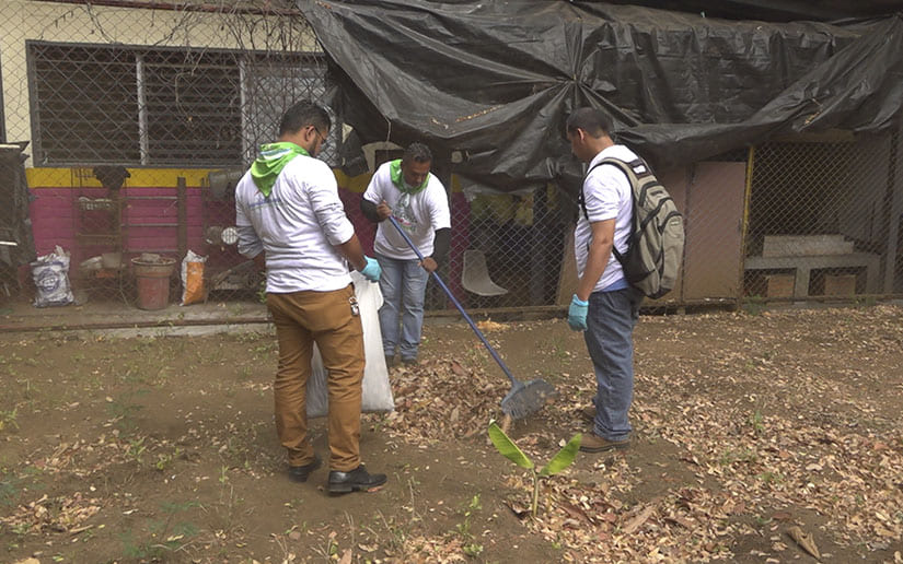 REFORESTACION
