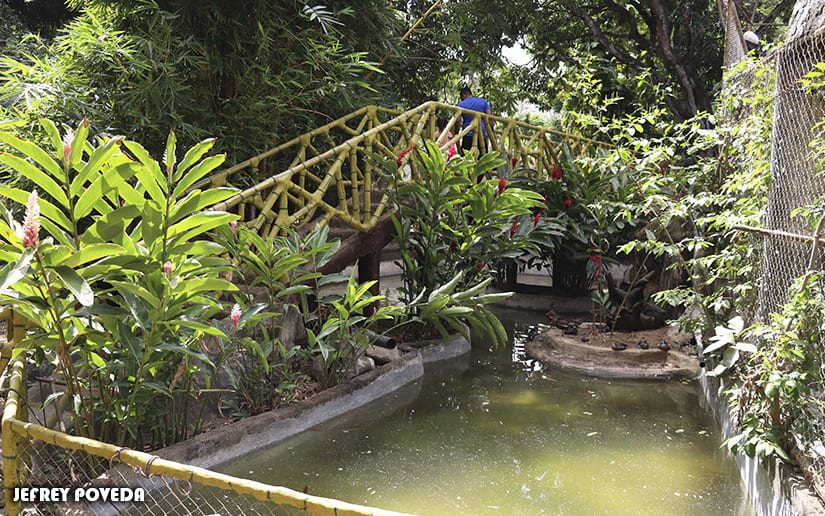 ZOO