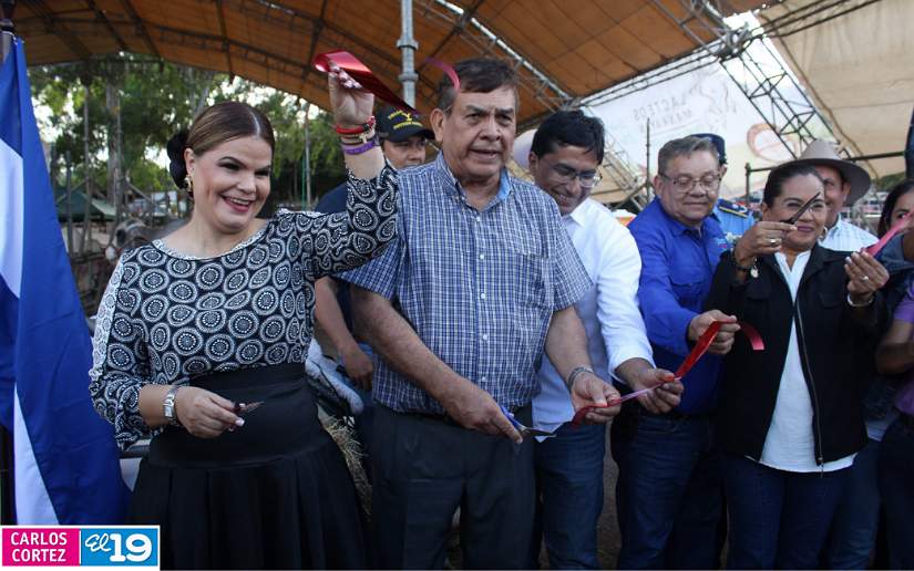 feria