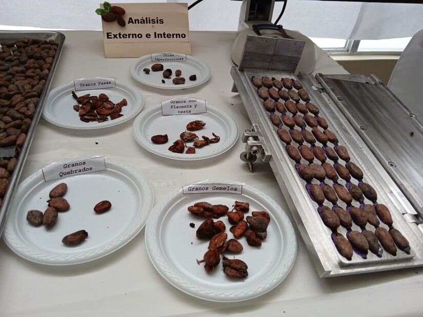 CACAO