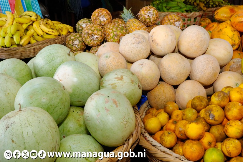VENTA