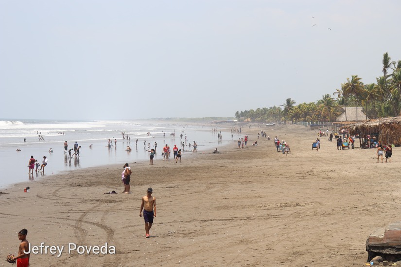 poneloya