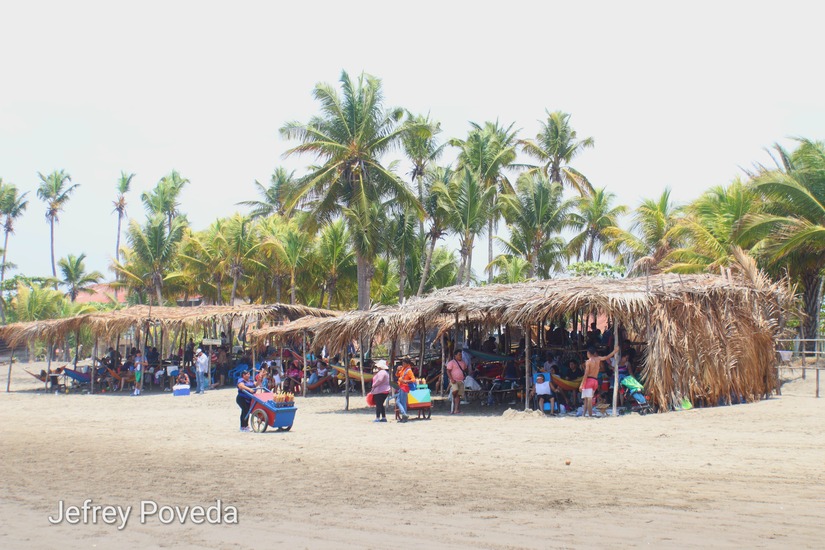 poneloya