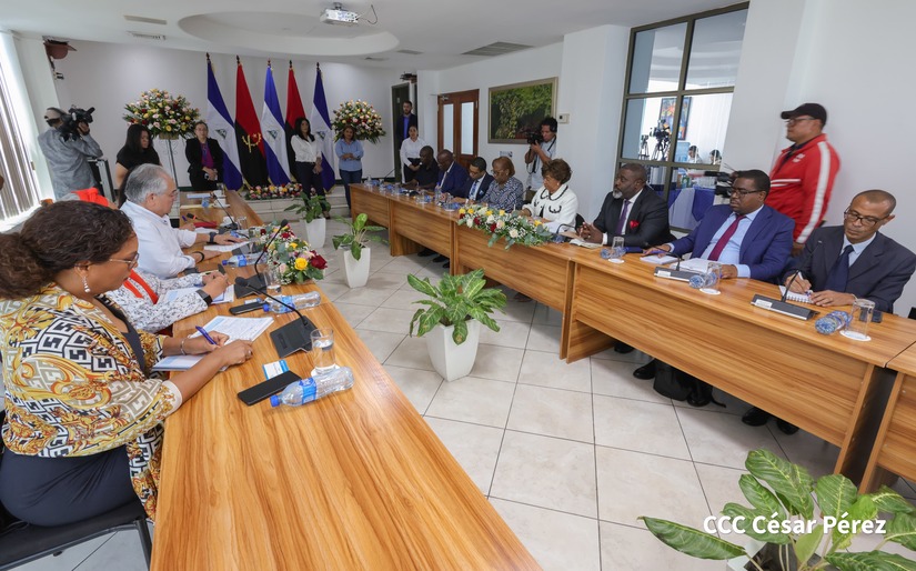 PARLAMENTO