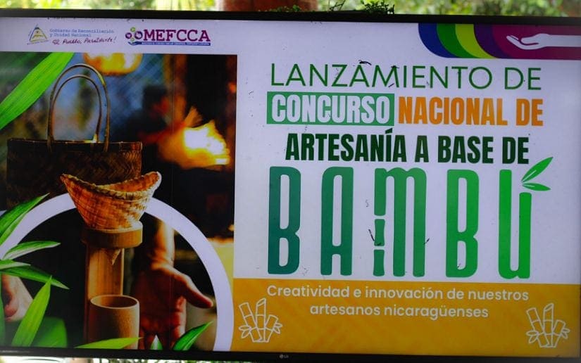 BAMBU