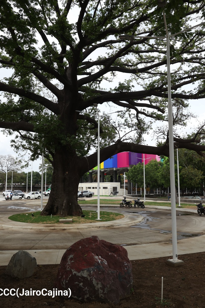 PARQUE