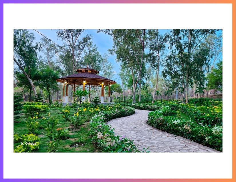 PARQUE