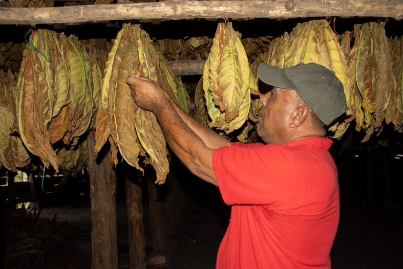 esteli