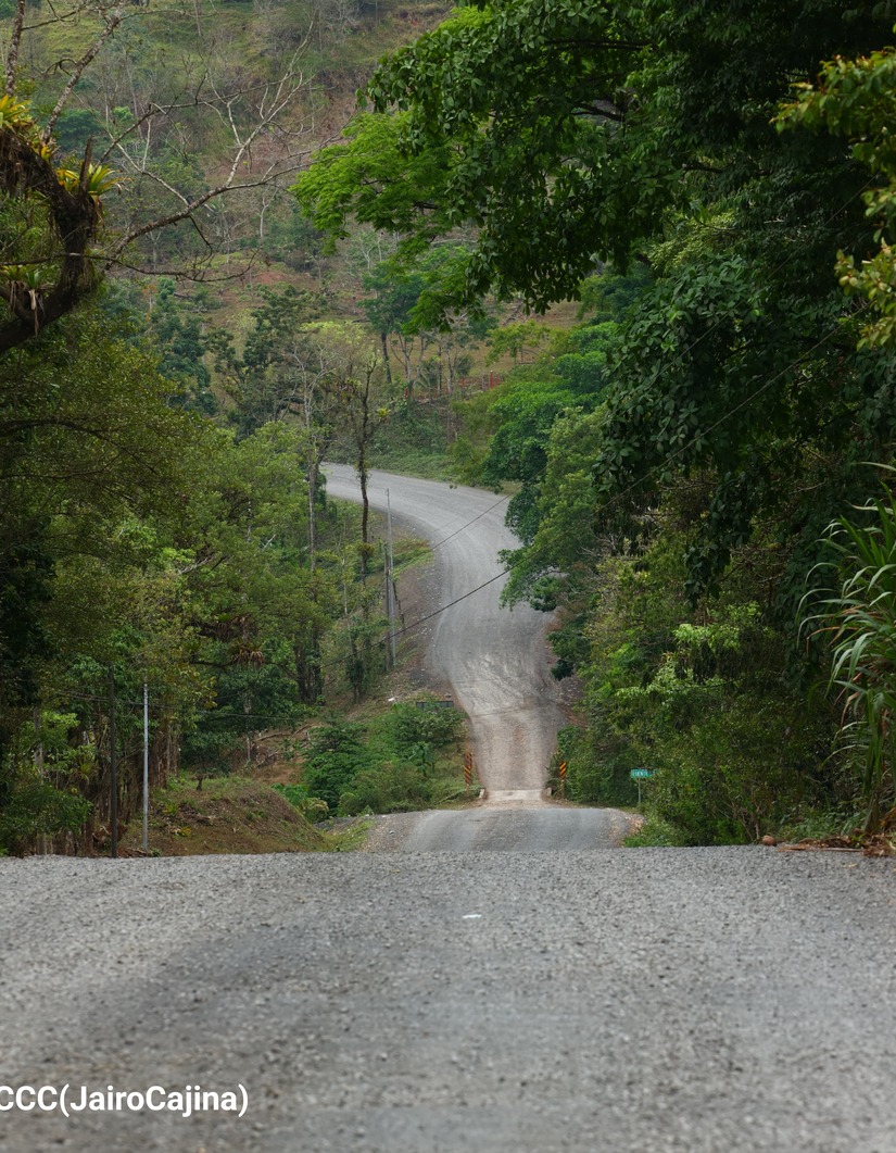 CARRETERA