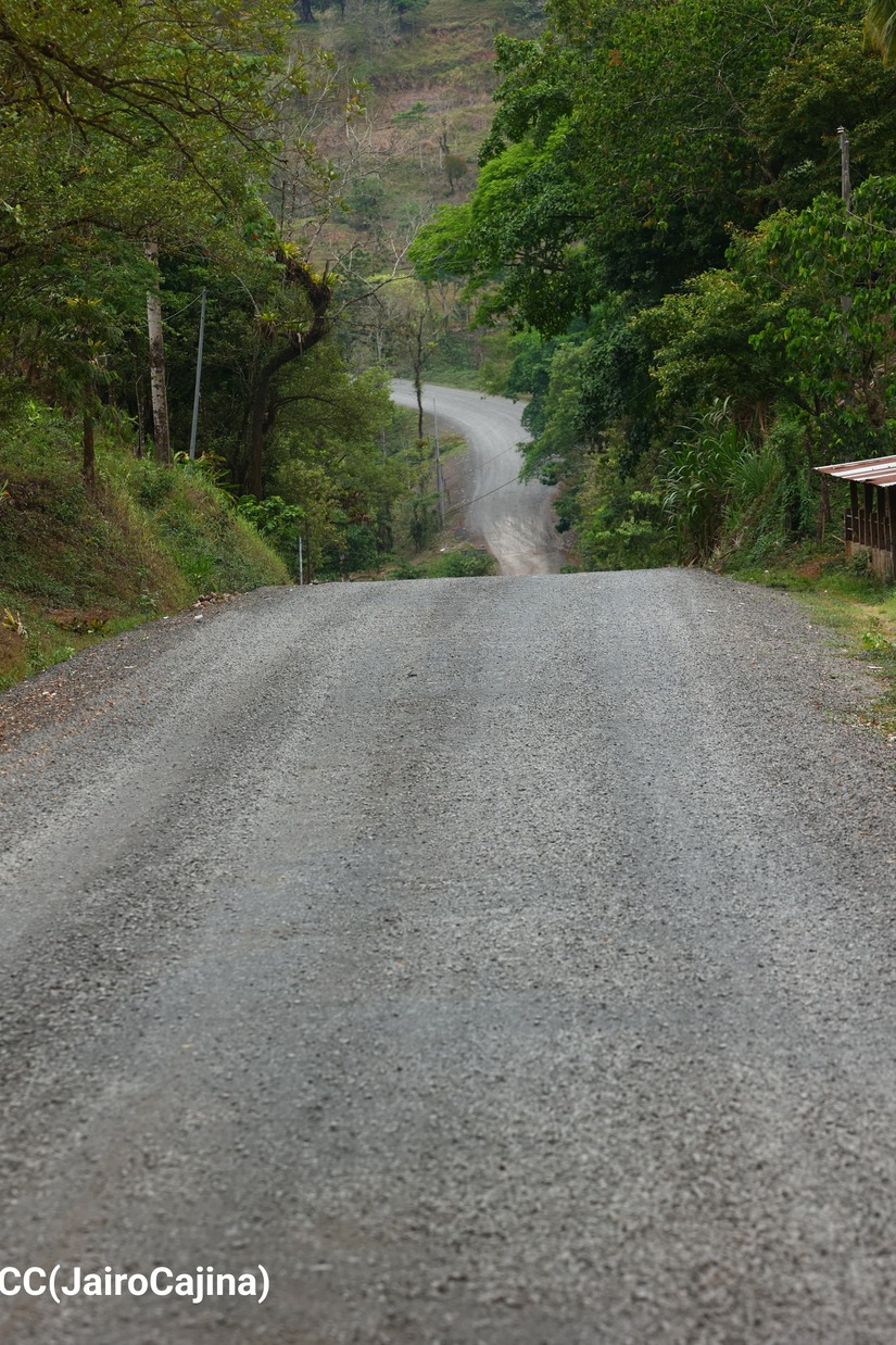 CARRETERA