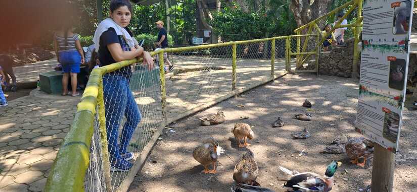 ZOO