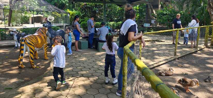 ZOO