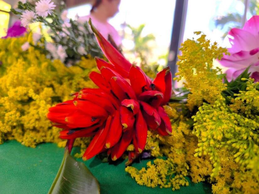 FLORES