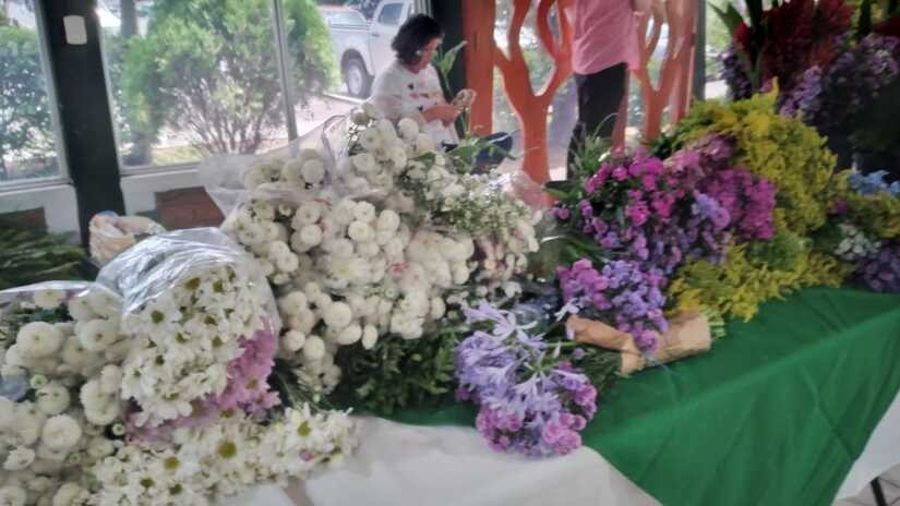 FLORES