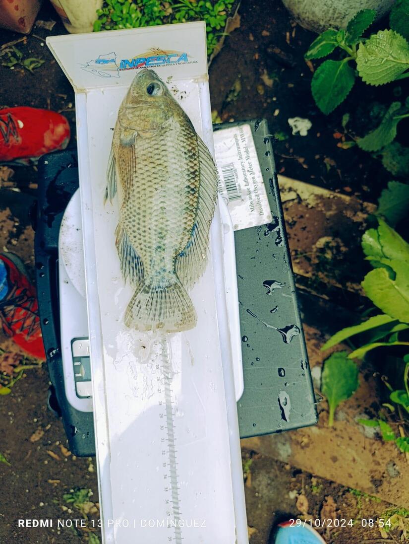 INPESCA1