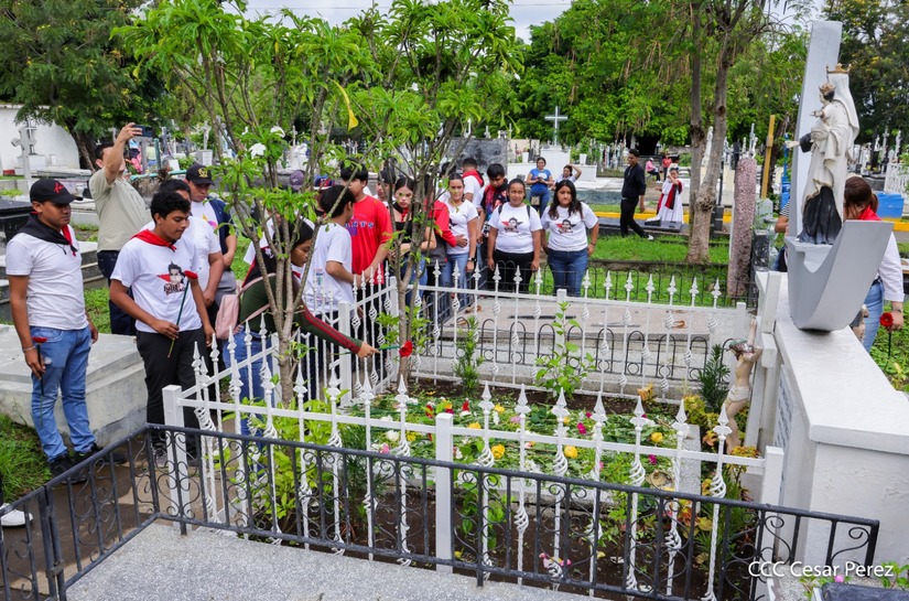 flores-(11)