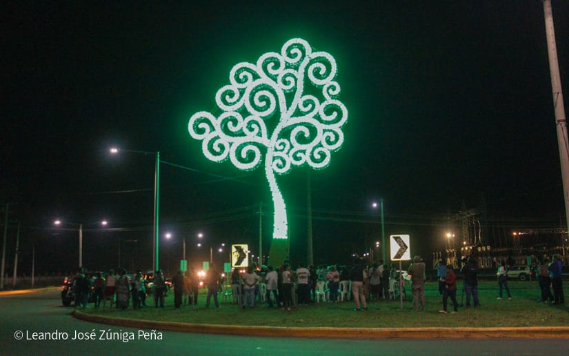 ARBOL-(10)