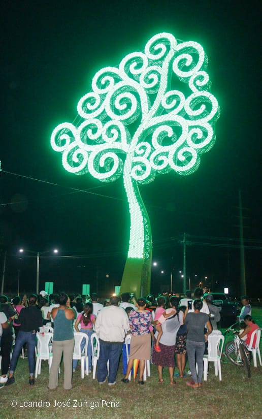 ARBOL-(12)