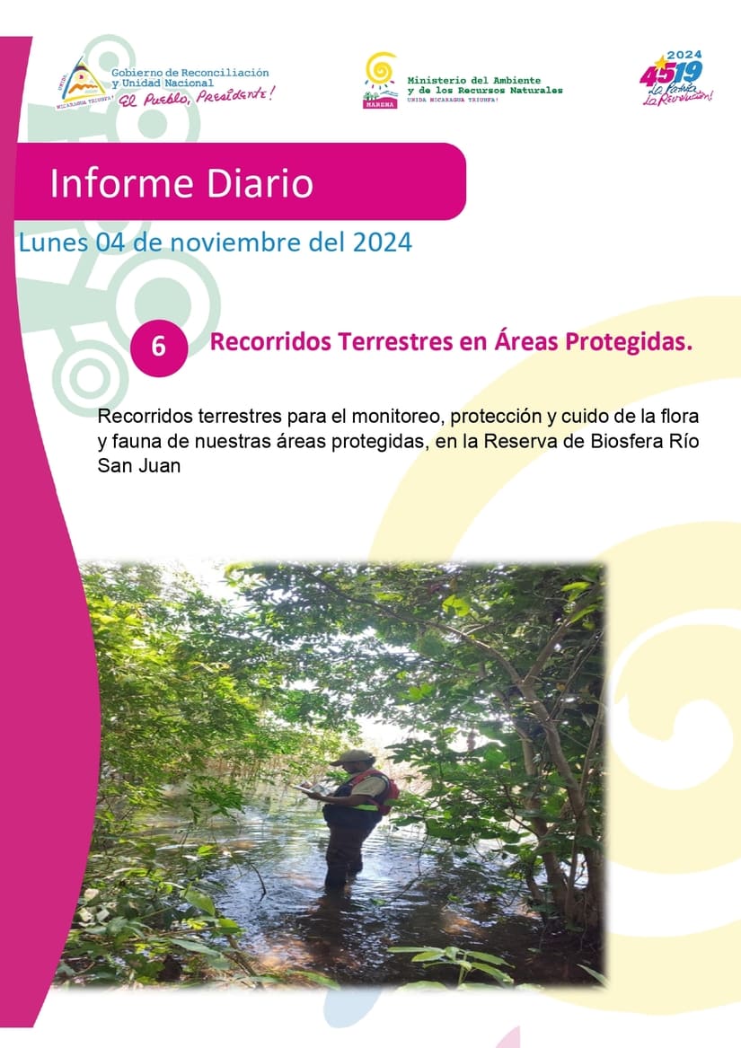 MARENA6