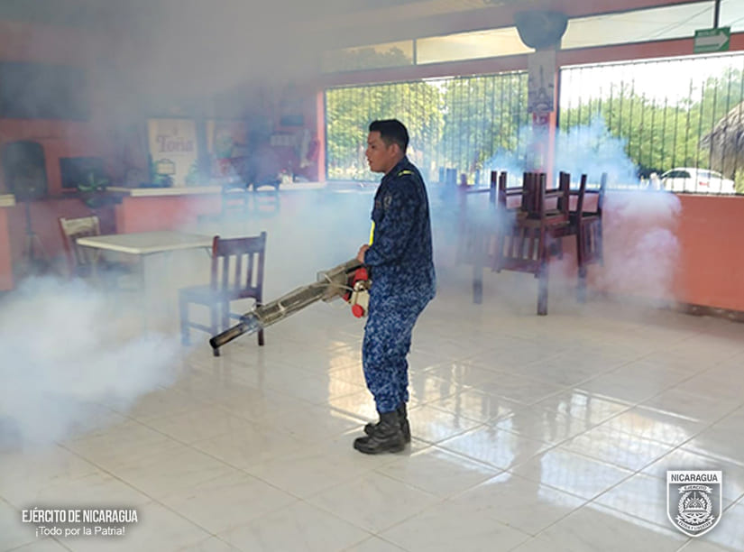 FUMIGACION6