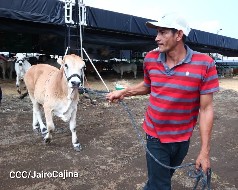 feria-4