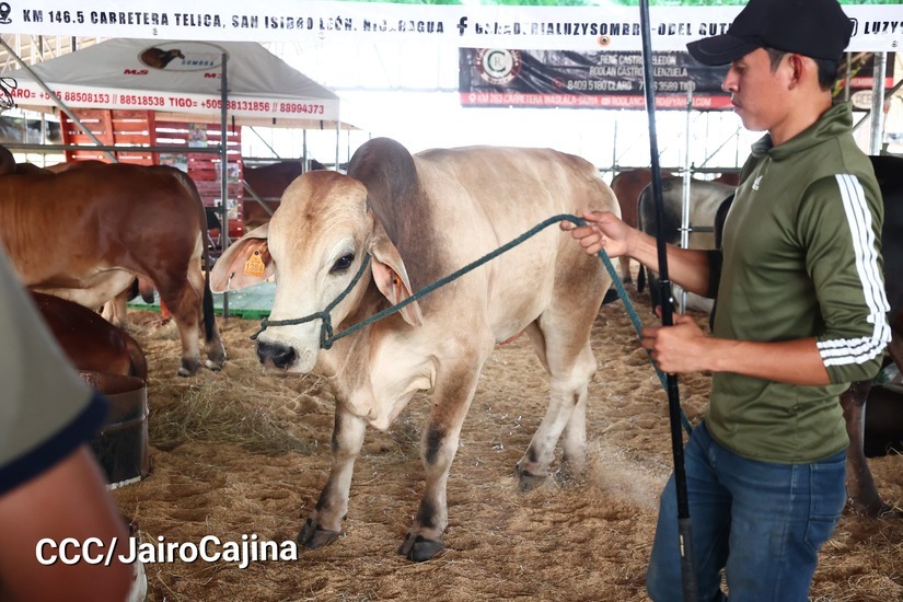 feria-6