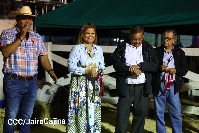 feria-(8)
